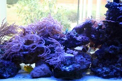 Killikus&reg; Fotographie